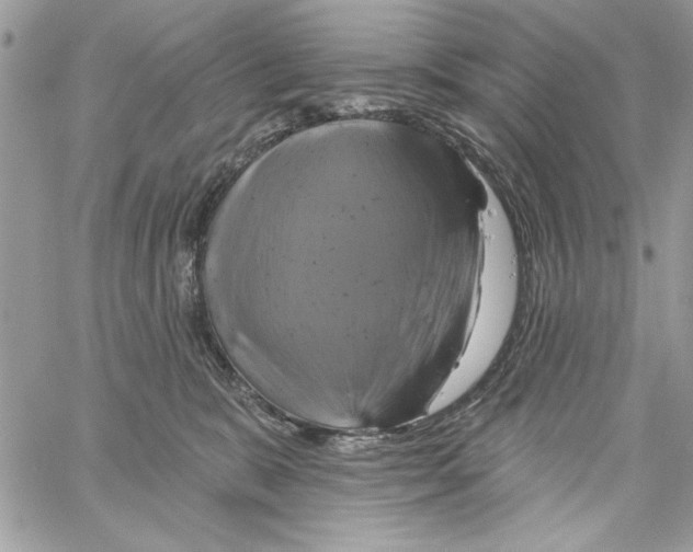 X0000061750327200512302244