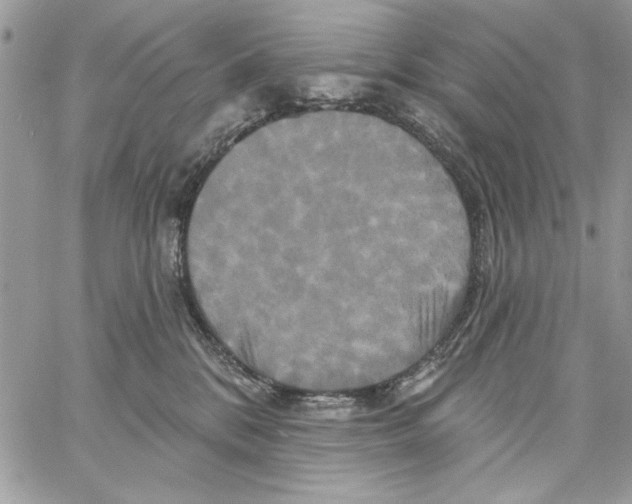 X0000061750328200512302244