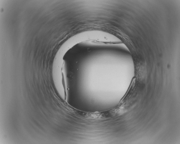 X0000061750329200512302244