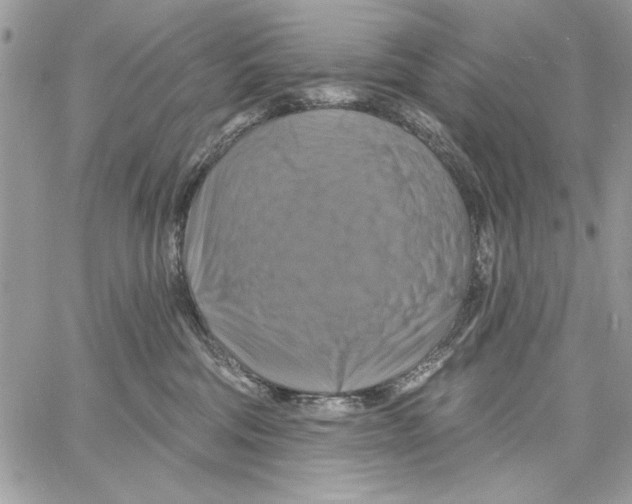 X0000061750330200512302244