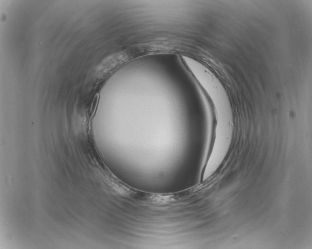 X0000061750333200512302244