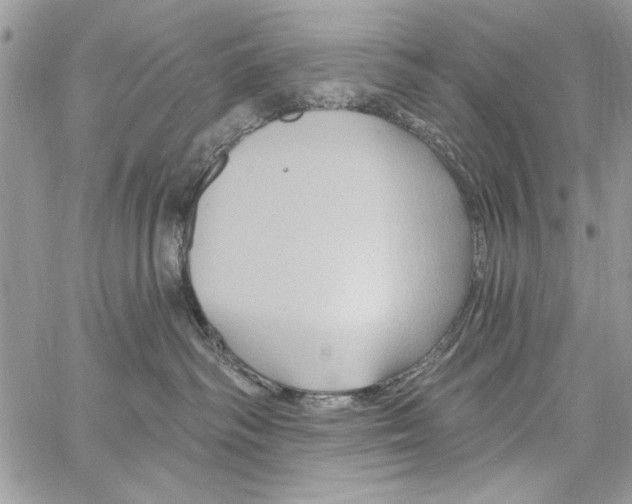 X0000061750334200512302244