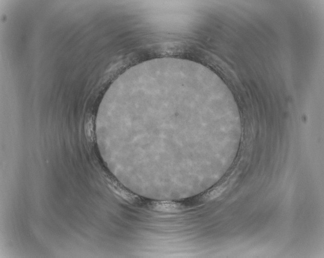 X0000061750336200512302244