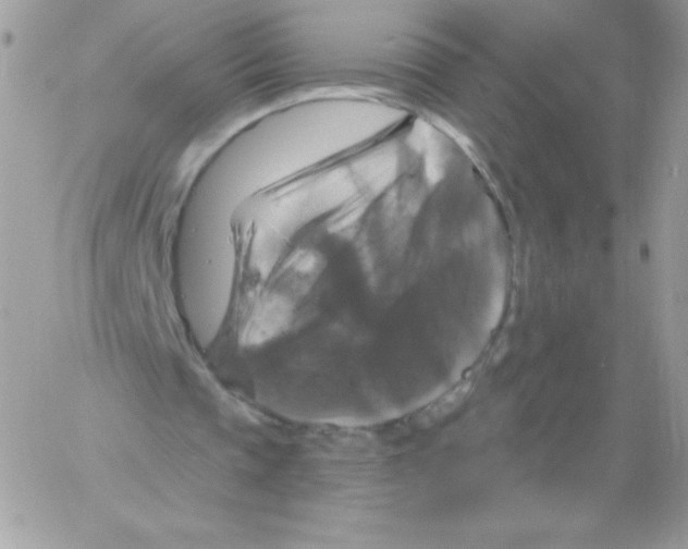 X0000061750337200512302243