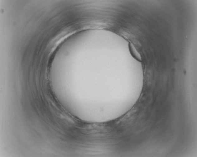 X0000061750338200512302243