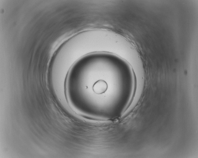 X0000061750340200512302243