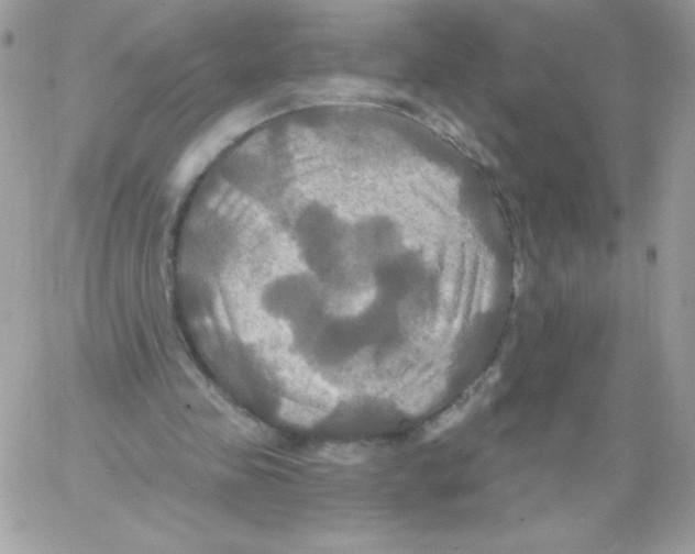 X0000061750341200512302243