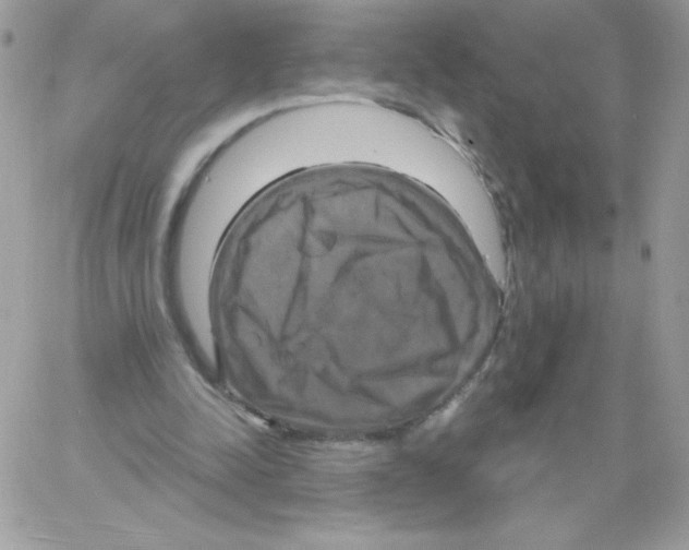 X0000061750342200512302243