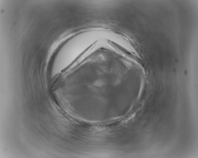 X0000061750343200512302243