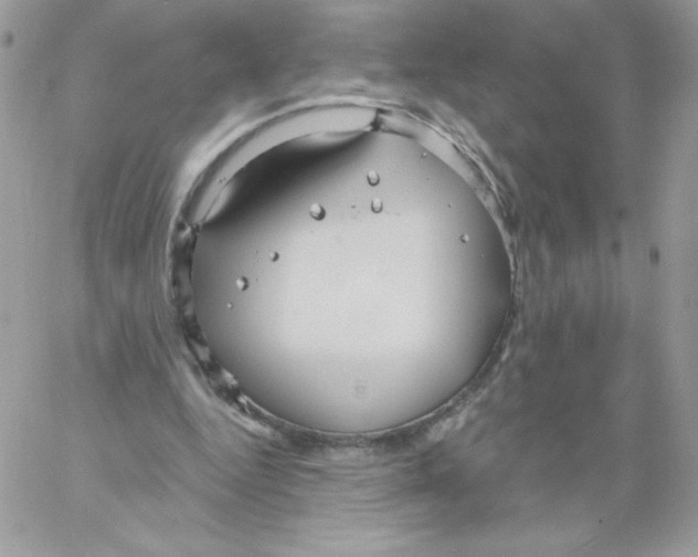 X0000061750344200512302243