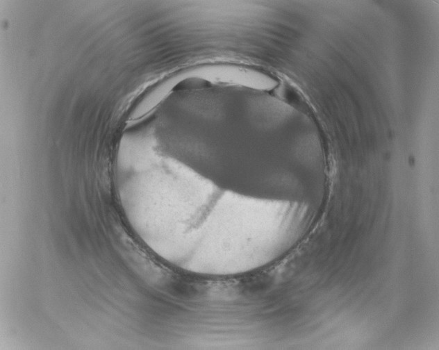 X0000061750345200512302243