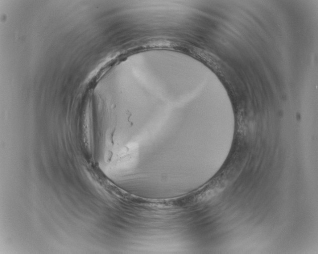 X0000061750347200512302243