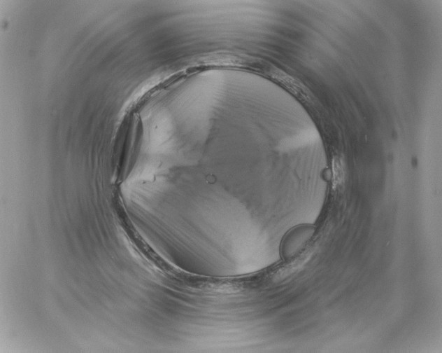 X0000061750349200512302243