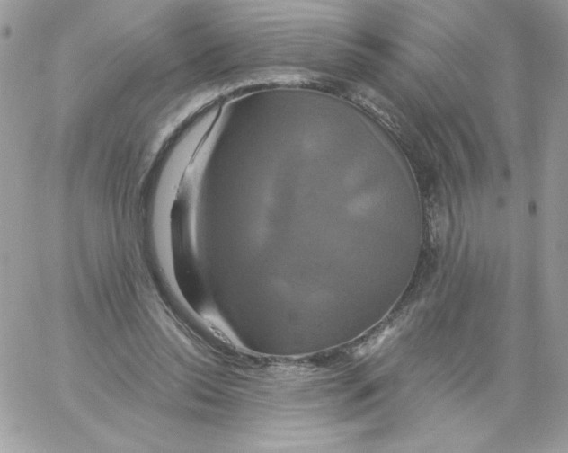 X0000061750350200512302243