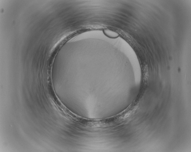 X0000061750351200512302243