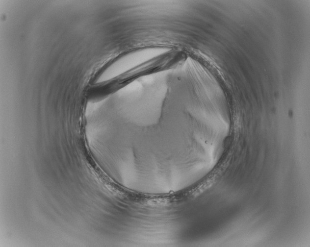 X0000061750353200512302243