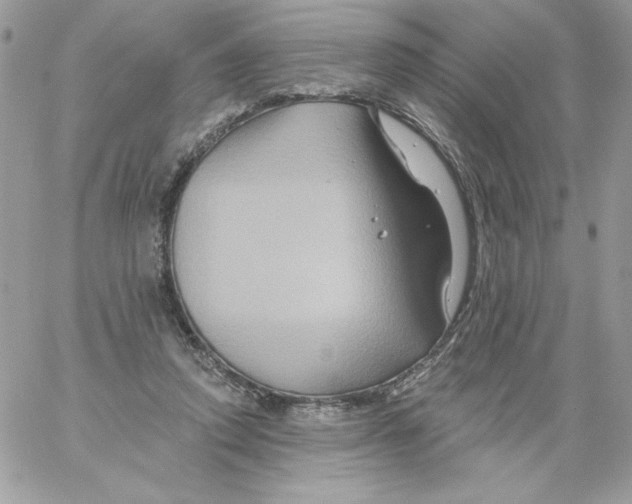 X0000061750354200512302243