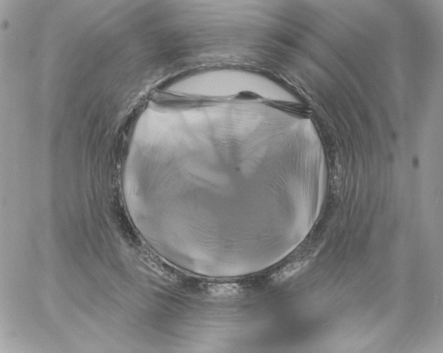 X0000061750355200512302243