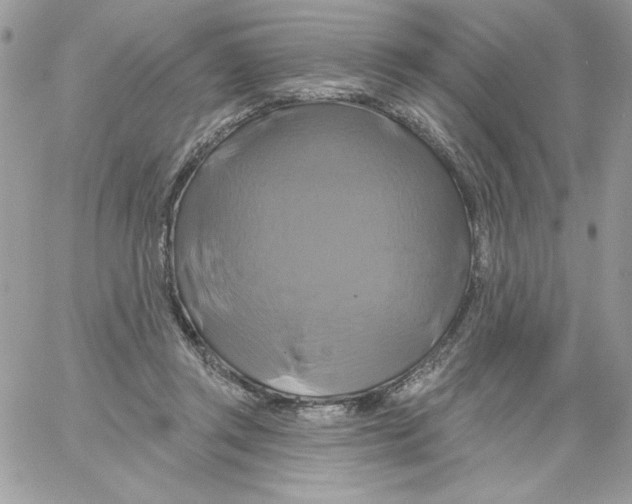 X0000061750357200512302243