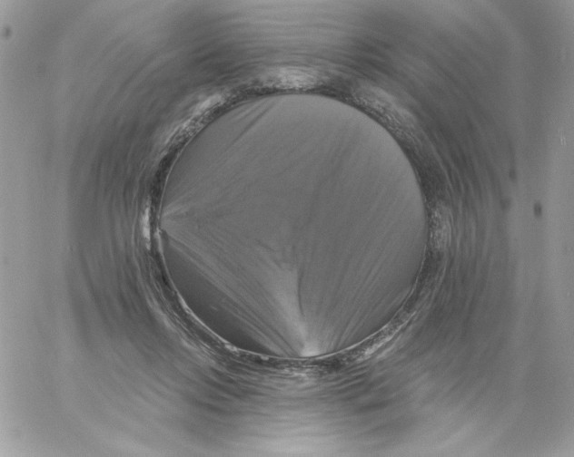 X0000061750358200512302243