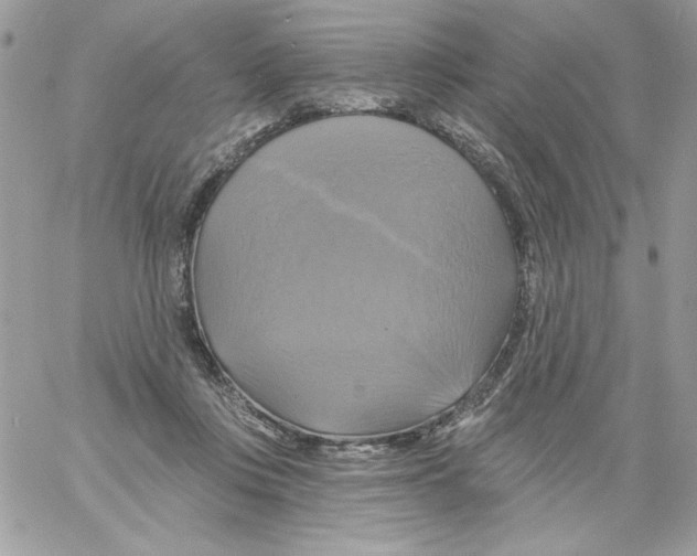 X0000061750359200512302243