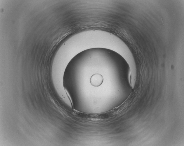 X0000061750360200512302244