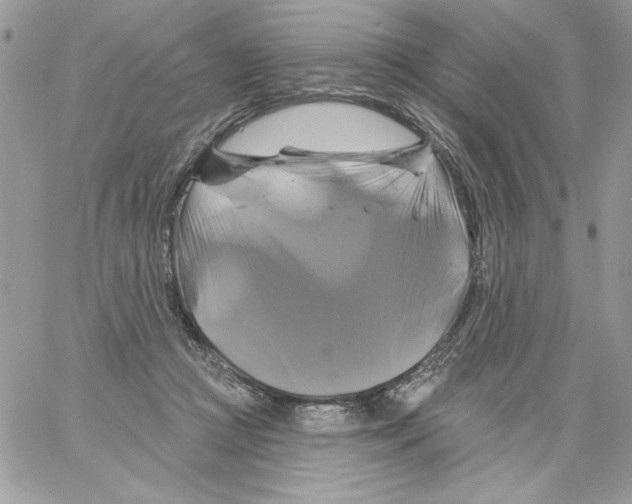 X0000061750361200512302244