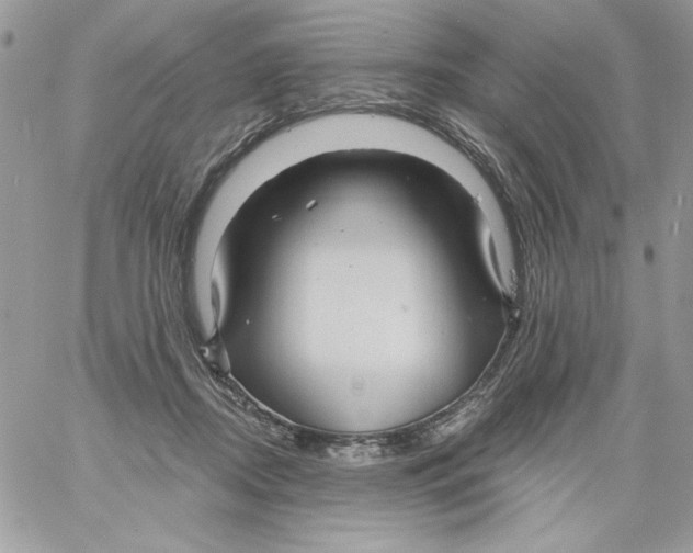 X0000061750362200512302244