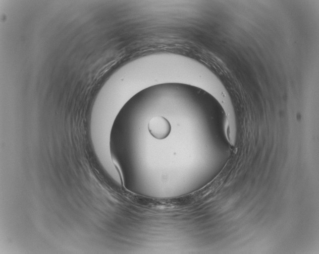 X0000061750364200512302244