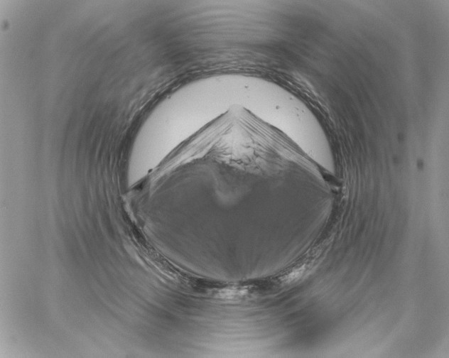 X0000061750366200512302244