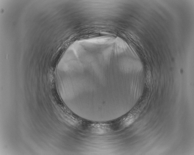 X0000061750367200512302244