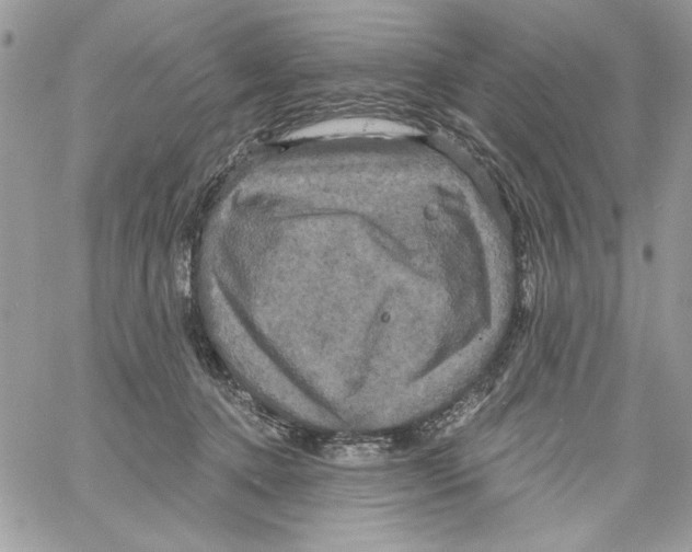 X0000061750368200512302244