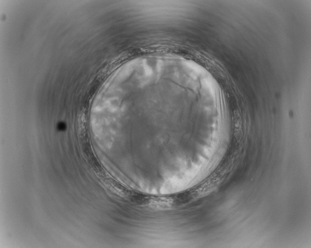 X0000061750369200512302244