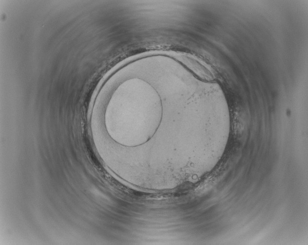 X0000061750370200512302244