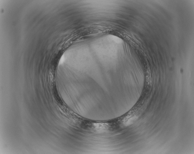 X0000061750371200512302244