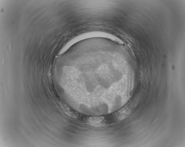 X0000061750373200512302244