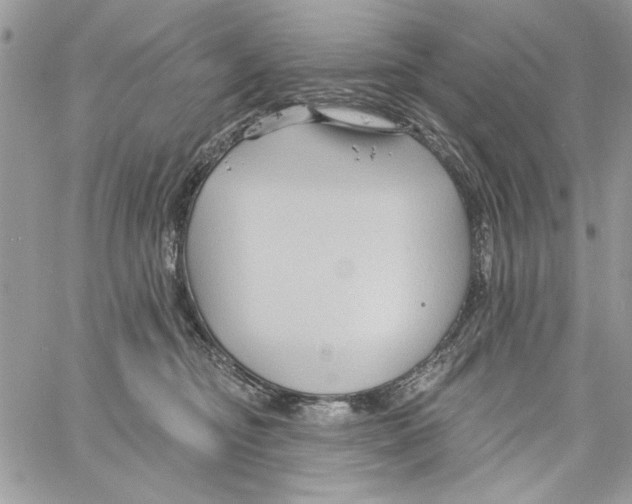 X0000061750374200512302244