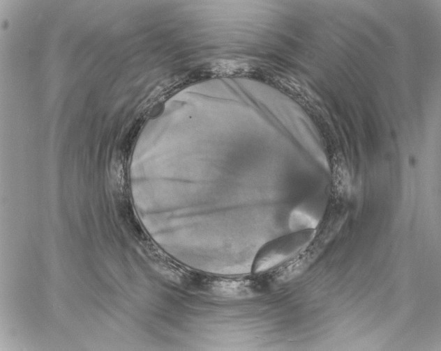 X0000061750375200512302244