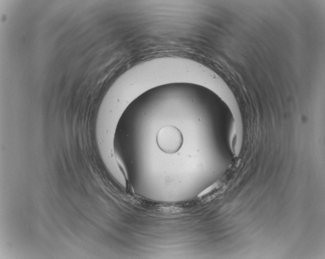 X0000061750376200512302244