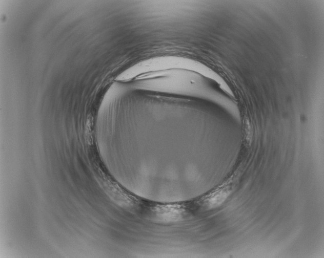 X0000061750378200512302244