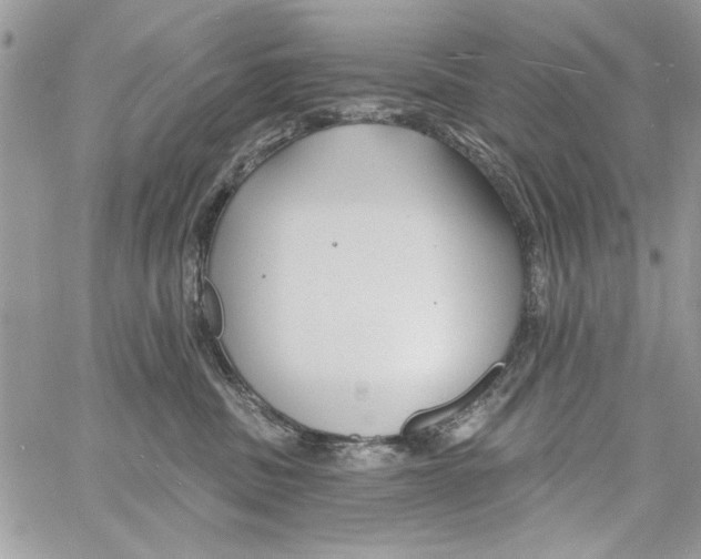 X0000061750379200512302244