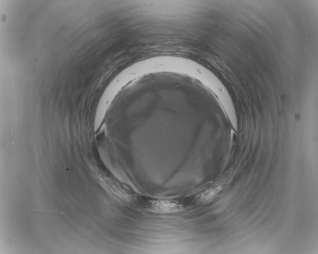 X0000061750380200512302244