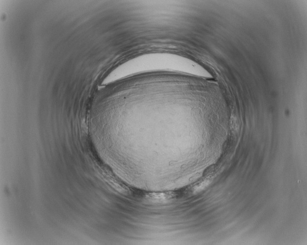 X0000061750381200512302244