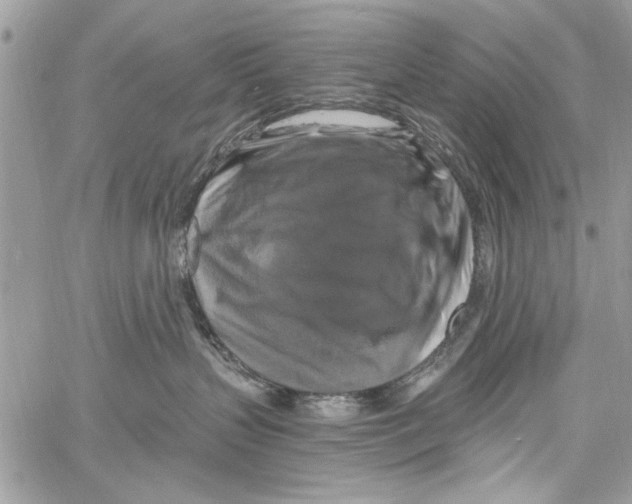 X0000061750383200512302244