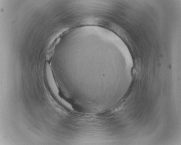 X0000061750386200512302243