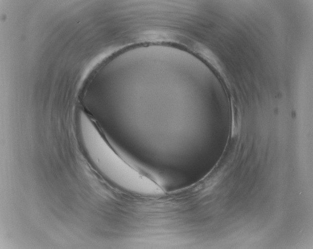 X0000061750387200512302243