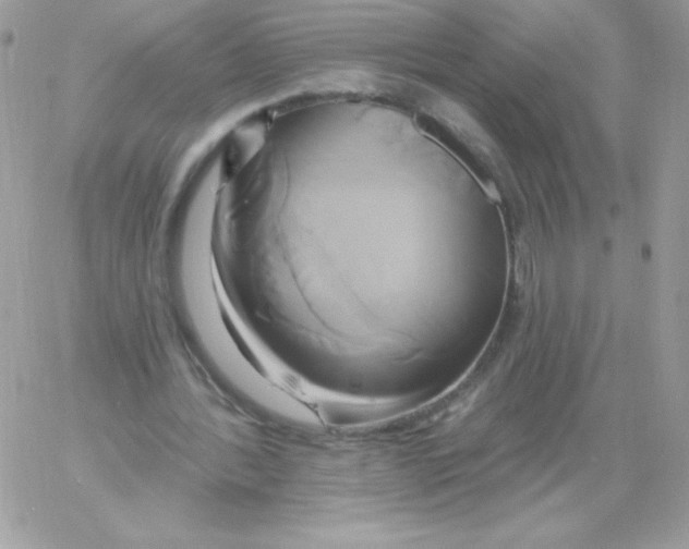 X0000061750388200512302243