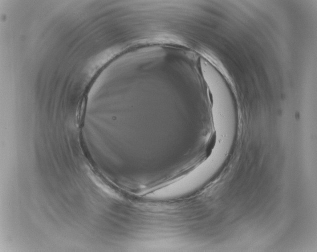 X0000061750389200512302243