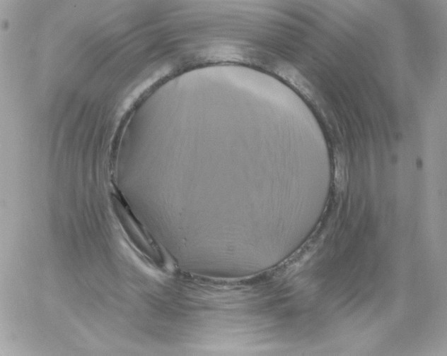 X0000061750390200512302243