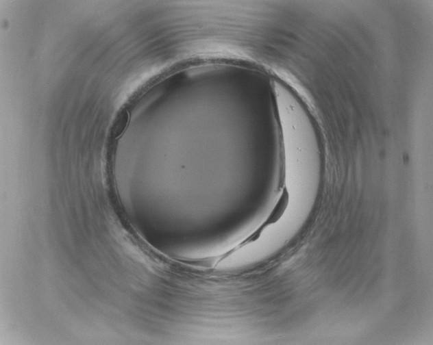 X0000061750391200512302243